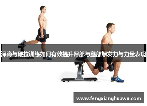 深蹲与硬拉训练如何有效提升臀部与腿部爆发力与力量表现