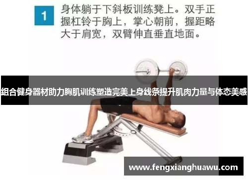 组合健身器材助力胸肌训练塑造完美上身线条提升肌肉力量与体态美感